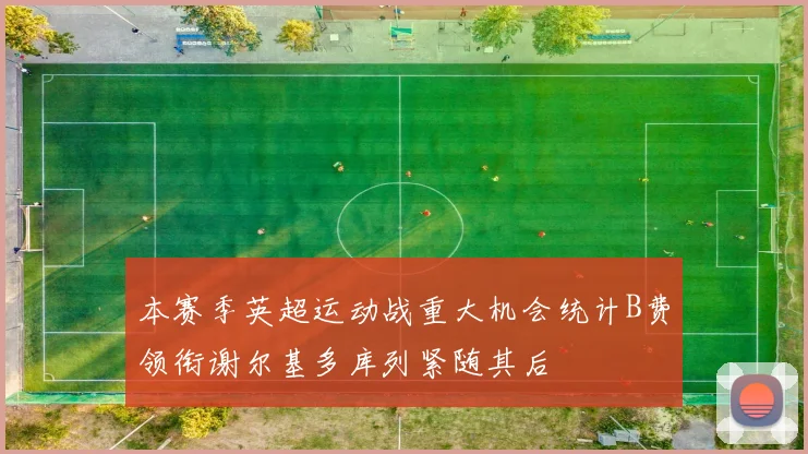 本赛季英超运动战重大机会统计B费领衔谢尔基多库列紧随其后