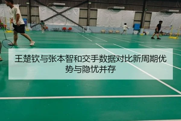王楚钦与张本智和交手数据对比新周期优势与隐忧并存（YaboSports）